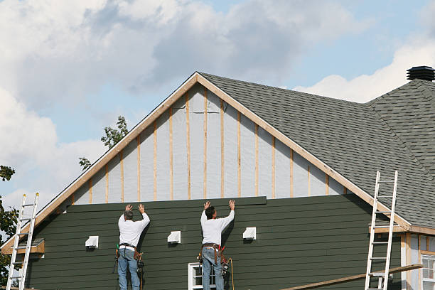 Best Shed Removal  in USA